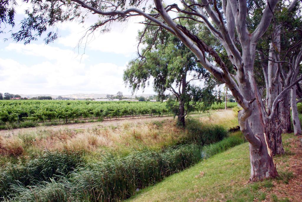Vine Inn Barossa Nuriootpa Eksteriør bilde